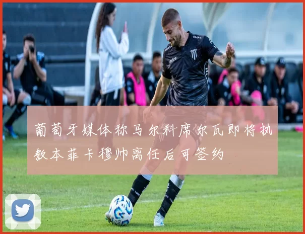 葡萄牙媒体称马尔科席尔瓦即将执教本菲卡穆帅离任后可签约
